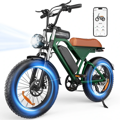 iSinwheel  EB5 Max (EU) Electric Bike