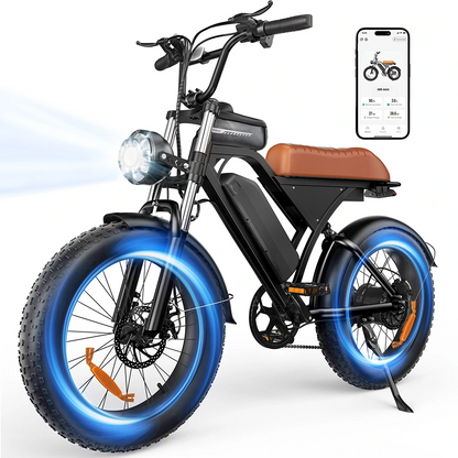 iSinwheel  EB5 Max (EU) Electric Bike