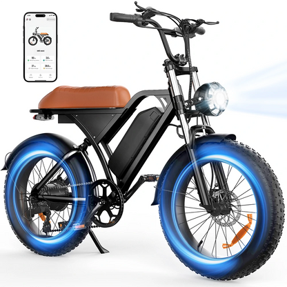 iSinwheel  EB5 Max (EU) Electric Bike